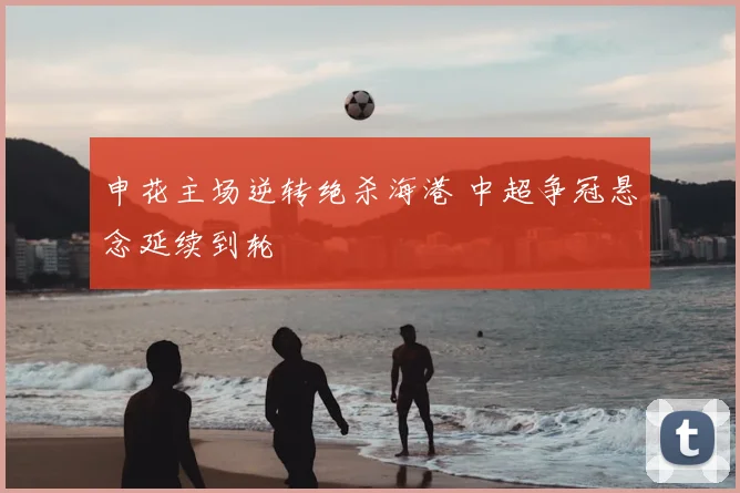 申花主场逆转绝杀海港 中超争冠悬念延续到轮