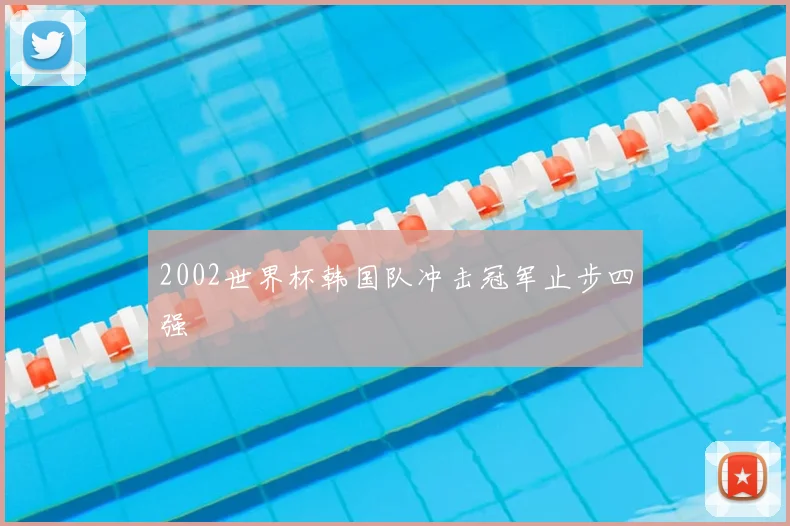 2002世界杯韩国队冲击冠军止步四强