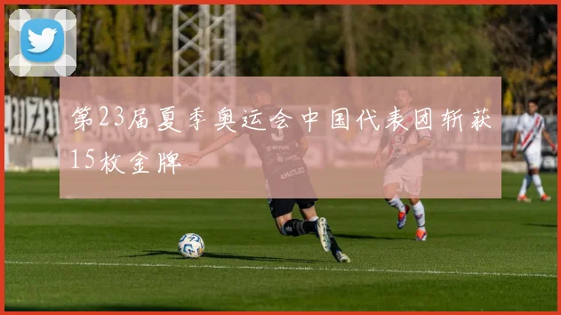 第23届夏季奥运会中国代表团斩获15枚金牌