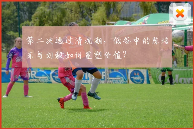 第二次逃过清洗潮，低谷中的陈培东与刘毅如何重塑价值？
