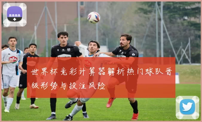 世界杯竞彩计算器解析热门球队晋级形势与投注风险
